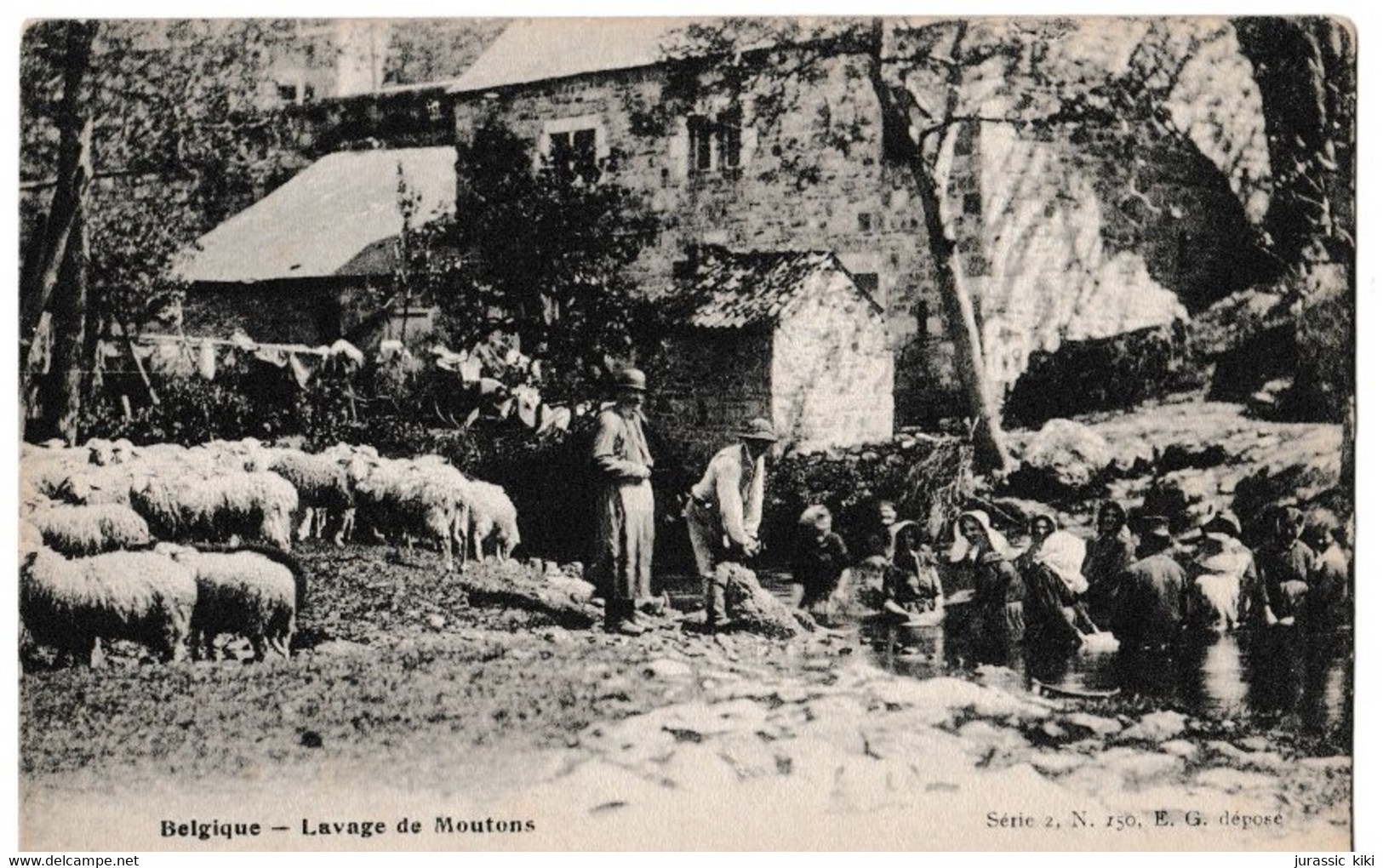 Belgique - Lavage De Moutons - Autres & Non Classés