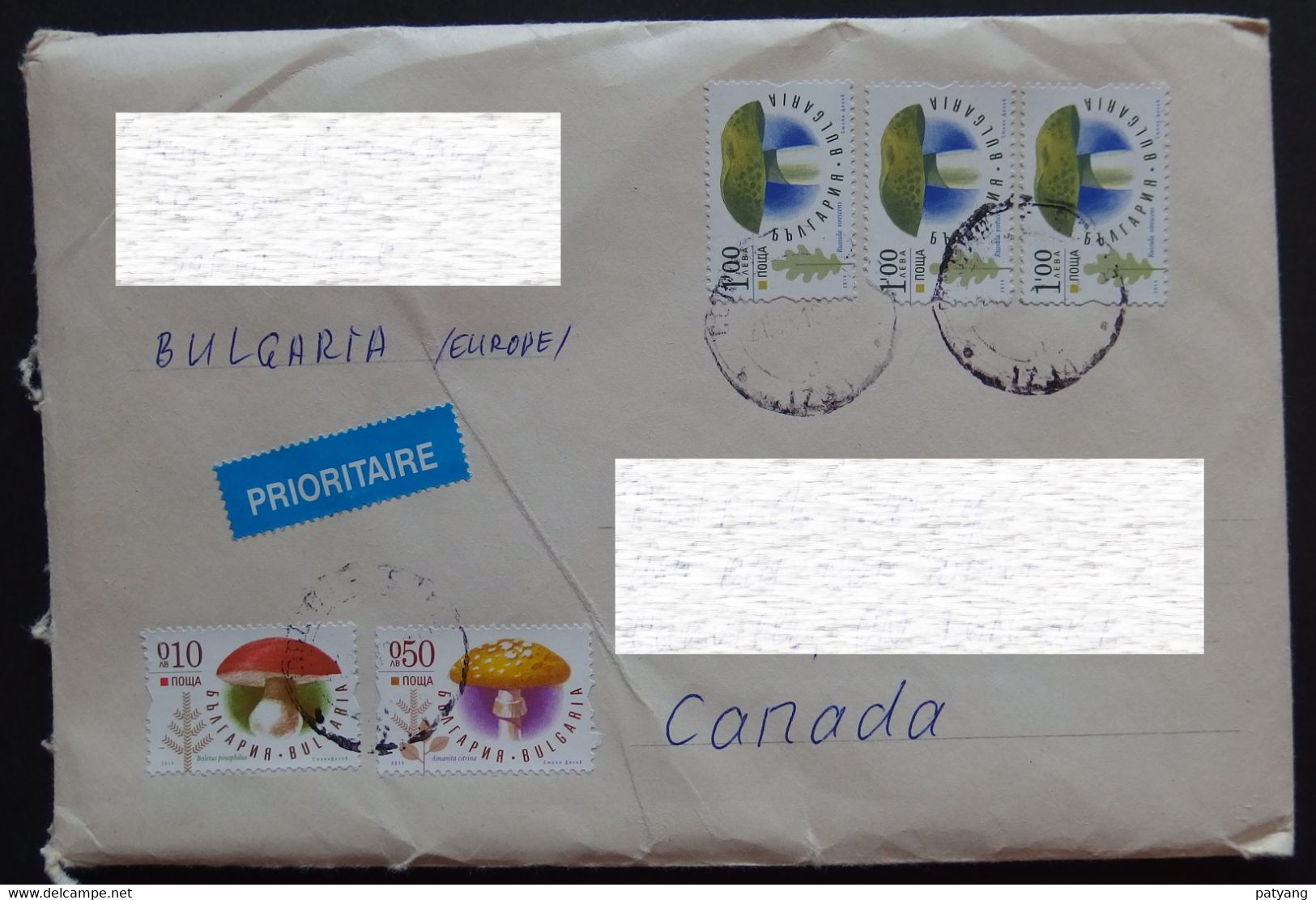 2019 Bulgaria To Canada Cover - Briefe U. Dokumente