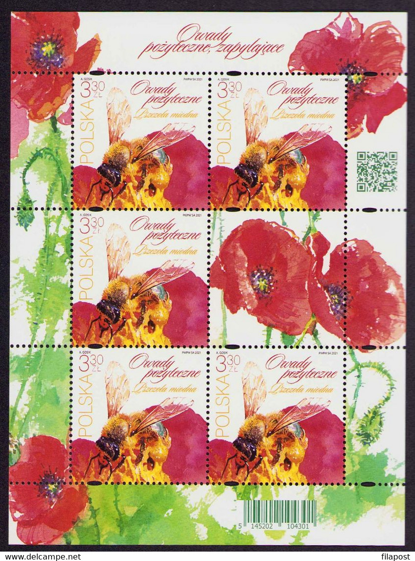 Poland 2021 Beneficial Insects / Bees And Bumblebees, Flowers, Insect, Animal, Bee, Nature / Full Sheet MNH** New!!! - Full Sheets