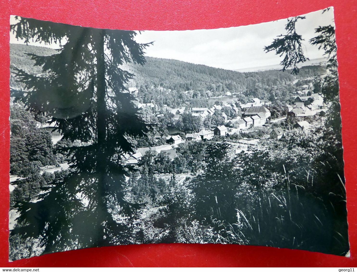 Georgenthal - 1964 - Blick V. Schwabhäuserkopf - Echt Foto - Thüringer Wald - Thüringen - Georgenthal