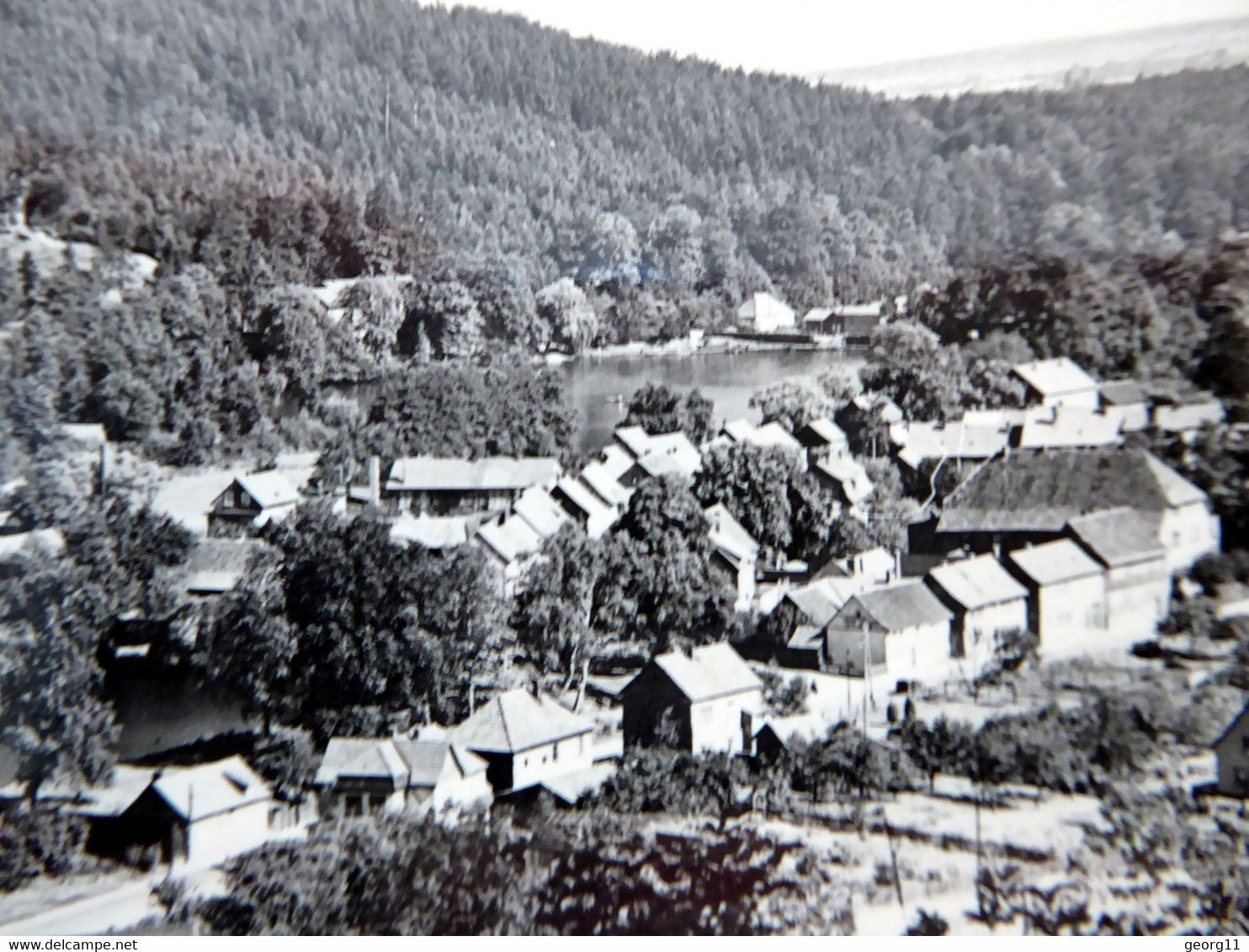 Georgenthal - 1964 - Blick V. Schwabhäuserkopf - Echt Foto - Thüringer Wald - Thüringen - Georgenthal