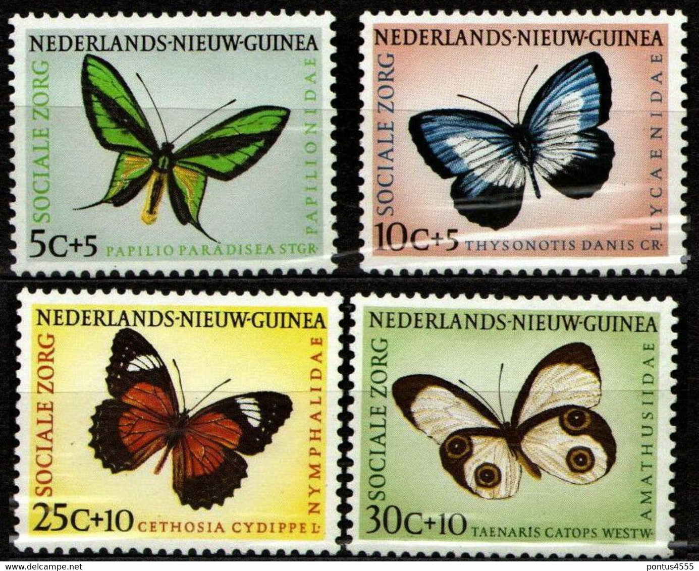 Netherlands New Guinea 1960 Mi 63-66 Butterflies - MNH - Niederländisch-Neuguinea