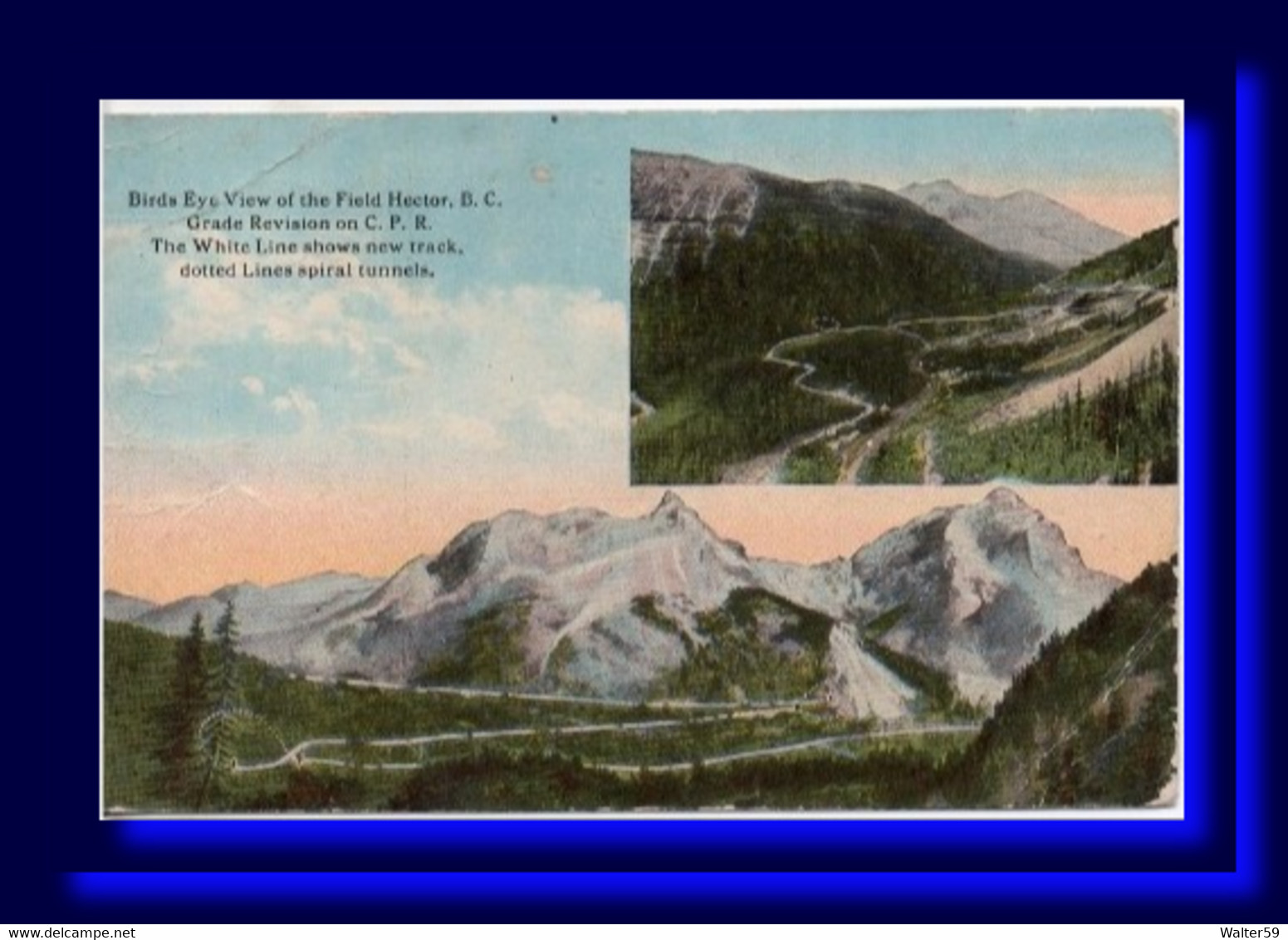 1913 Canada Postcard Field Hector B.C. Sent To Scotland - Historia Postale