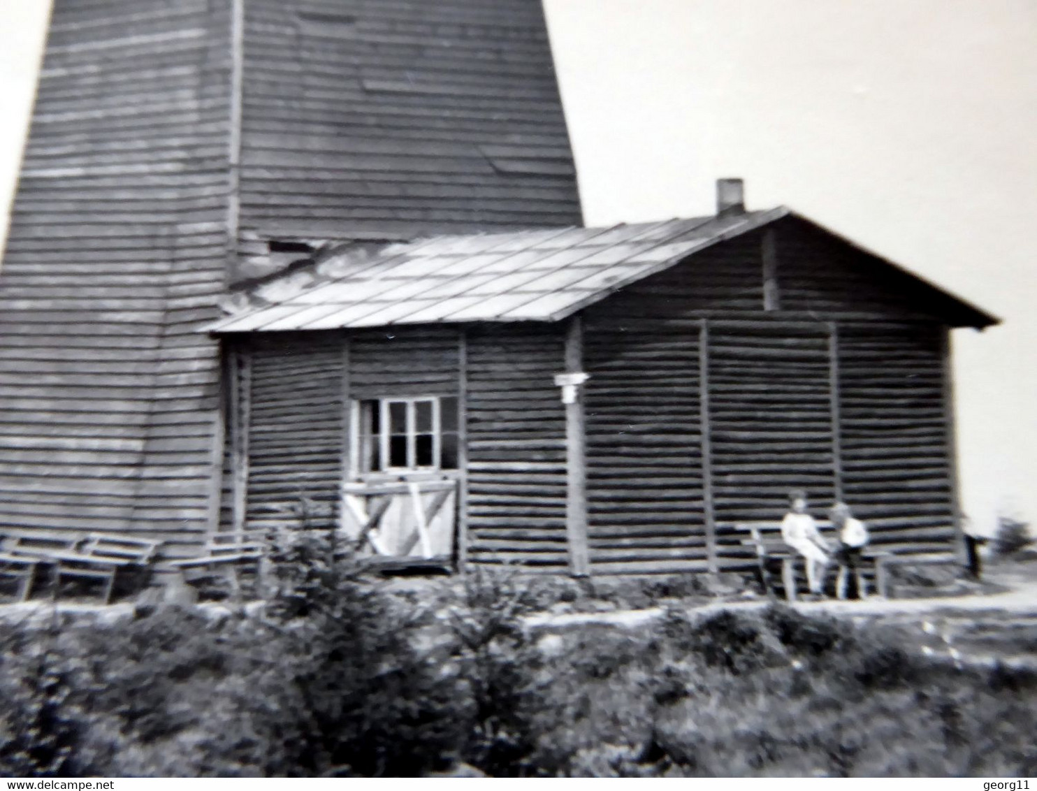 Masserberg - Rennsteig Warte - Hartungsklause - Kleinformat 1957 Echt Foto Handabzug - Thüringer Wald - Thüringen - Masserberg