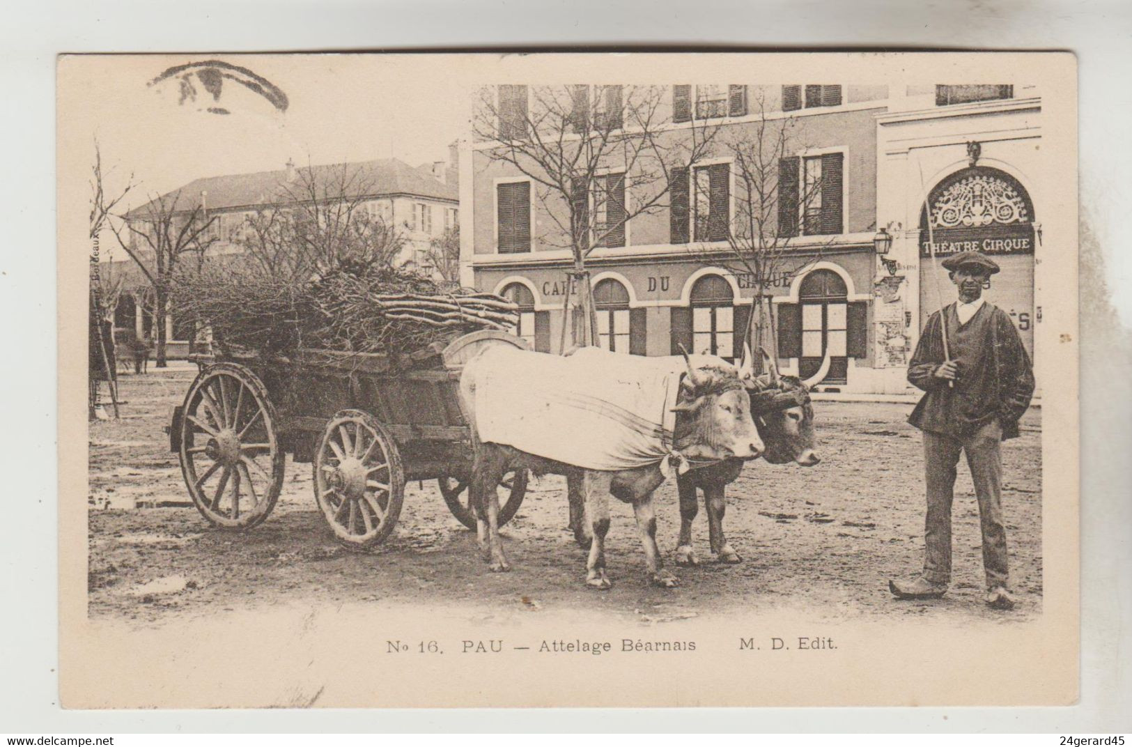 CPA AGRICULTURE ATTELAGE - Attelage BEARNAIS à PAU Devant Café Du Cirque (Pyrénées Atlantiques) - Equipos