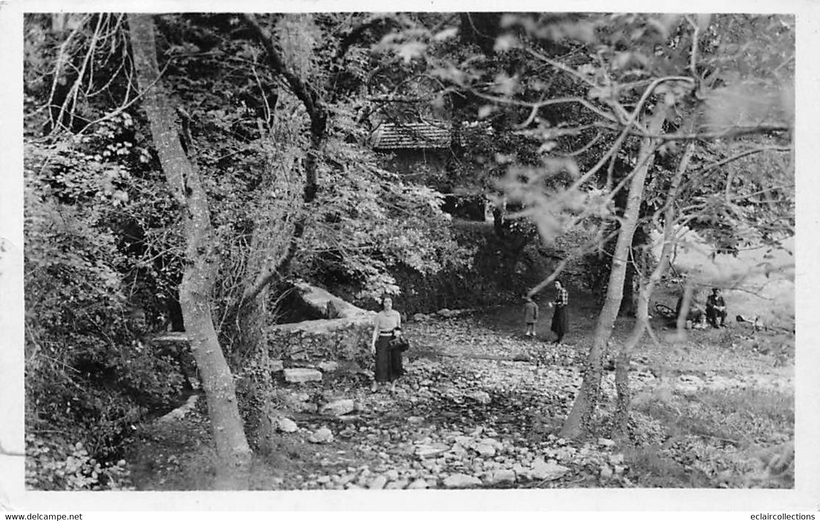 Saint-Zacherie        83         Les Nayes Sous Bois   1956       (voir Scan) - Sonstige & Ohne Zuordnung