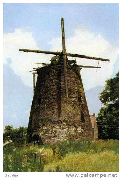 VLIJTINGEN Bij Riemst (Limb.) - Molen/moulin - Molen Simenon In Verval D.d. 1973. Historische Opname! (gesloopt In 1992) - Riemst