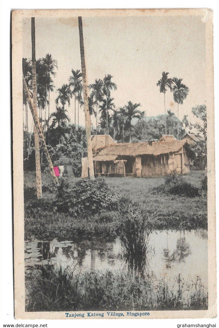 8 postcards lot Singapore Malaysia reservoirs traveller's trees native houses factory posted/unposted 1920s/1940s