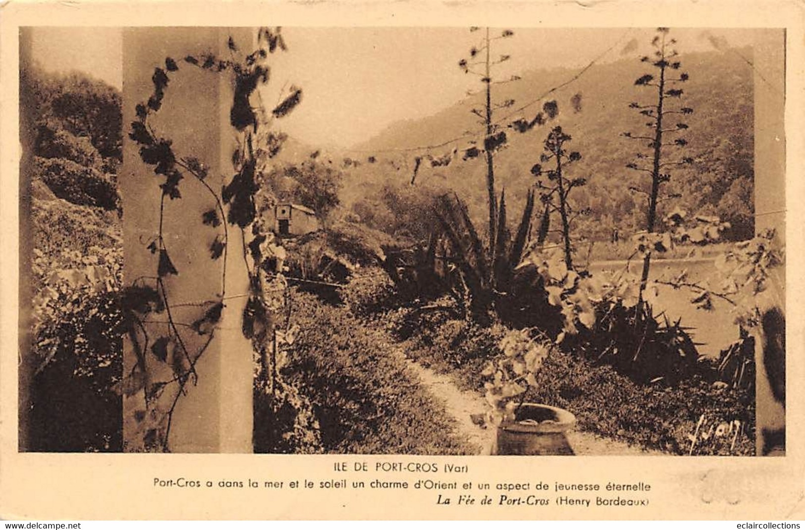 Île De Port-Cros         83        ... Soleil De Charmes D'Orient...         (voir Scan) - Autres & Non Classés