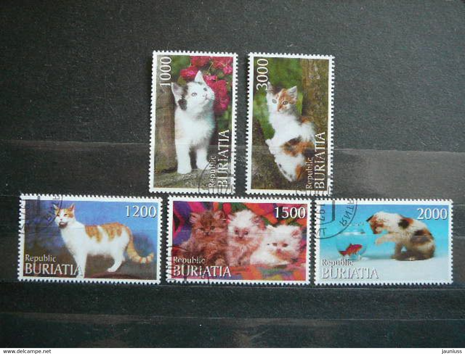 Cats # Russia 2000 Used #1 - Andere & Zonder Classificatie
