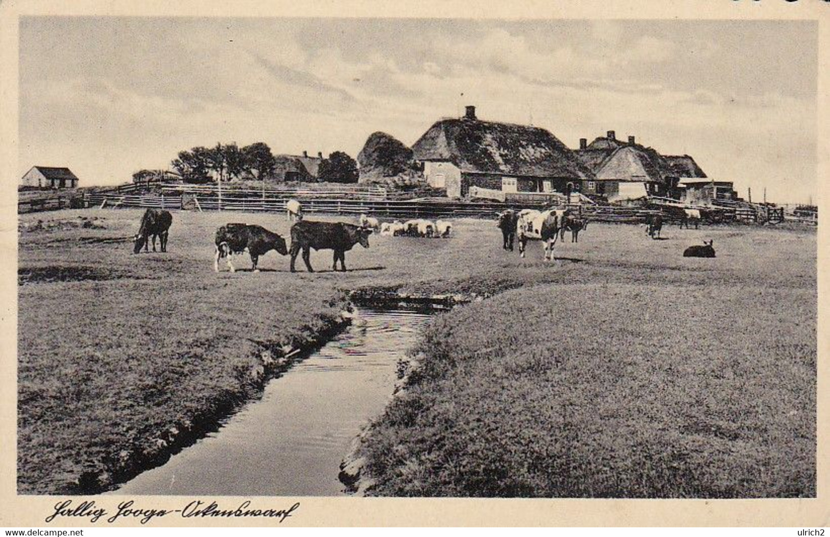 AK Hallig Hooge Ockenswarft   (56120) - Nordfriesland