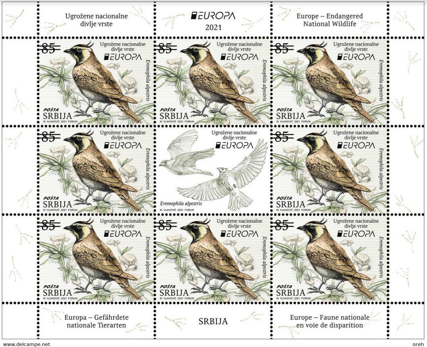 SERBIA 2021,NEW 12.05,EUROPA CEPT,ENDANGERED NATIONAL WILDLIFE,FAUNA,BIRDS,FALCO,SHEET, MNH - Other & Unclassified
