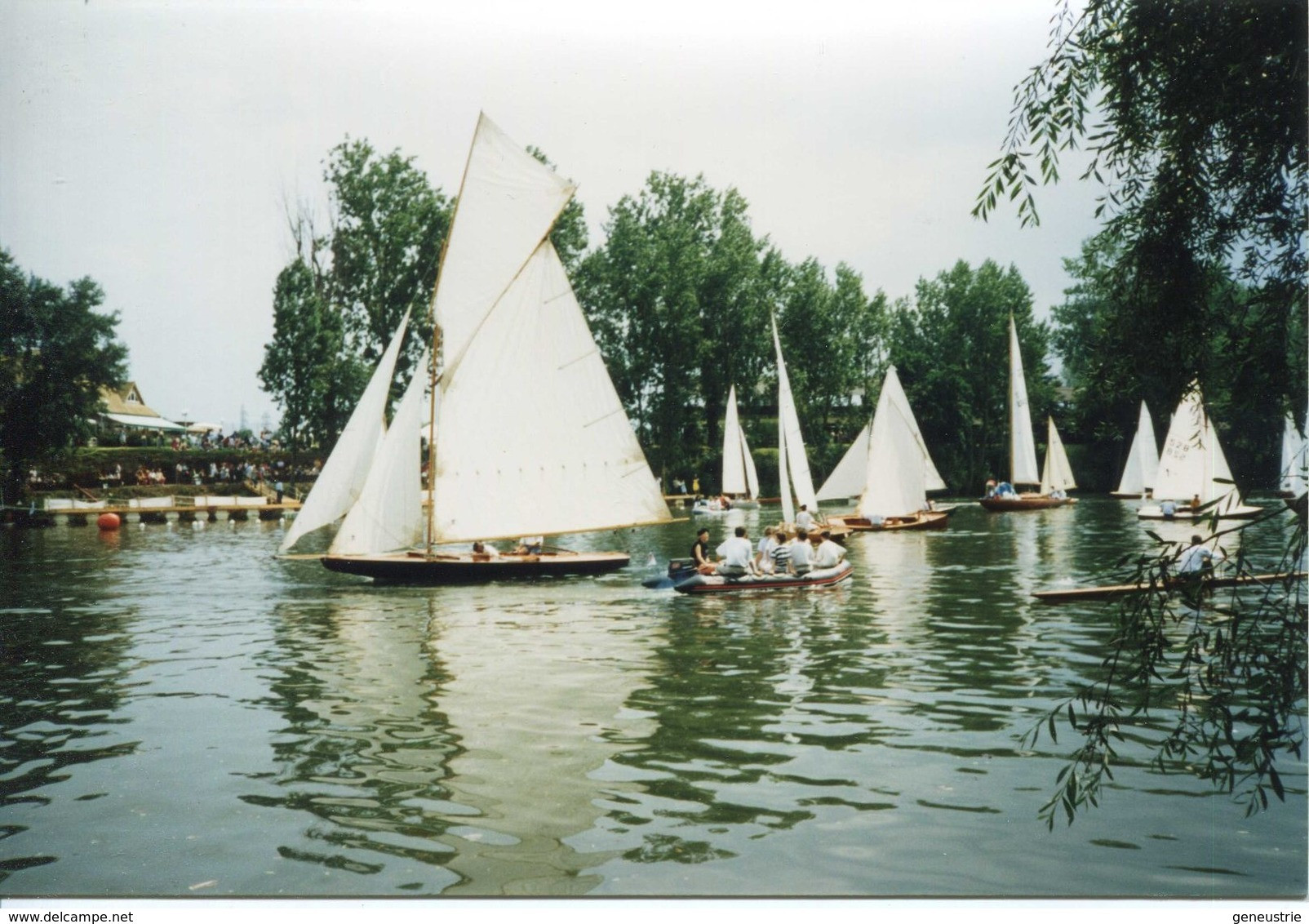 Photo-carte 1998 "Les Régates à Carrières-sur-Seine" Voilier - Bâteau à Voiles - Carrières-sur-Seine