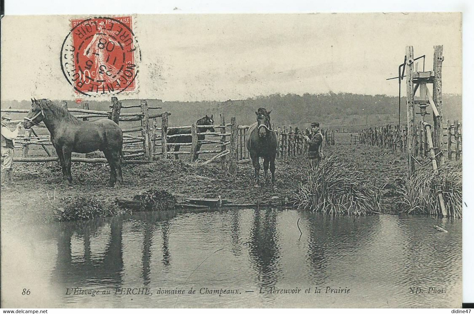 NOGENT LE ROTROU- L'ELEVAGE AU PERCHE - Domaine De Champeaux -l'abreuvoir Et La Prairie - Nogent Le Rotrou