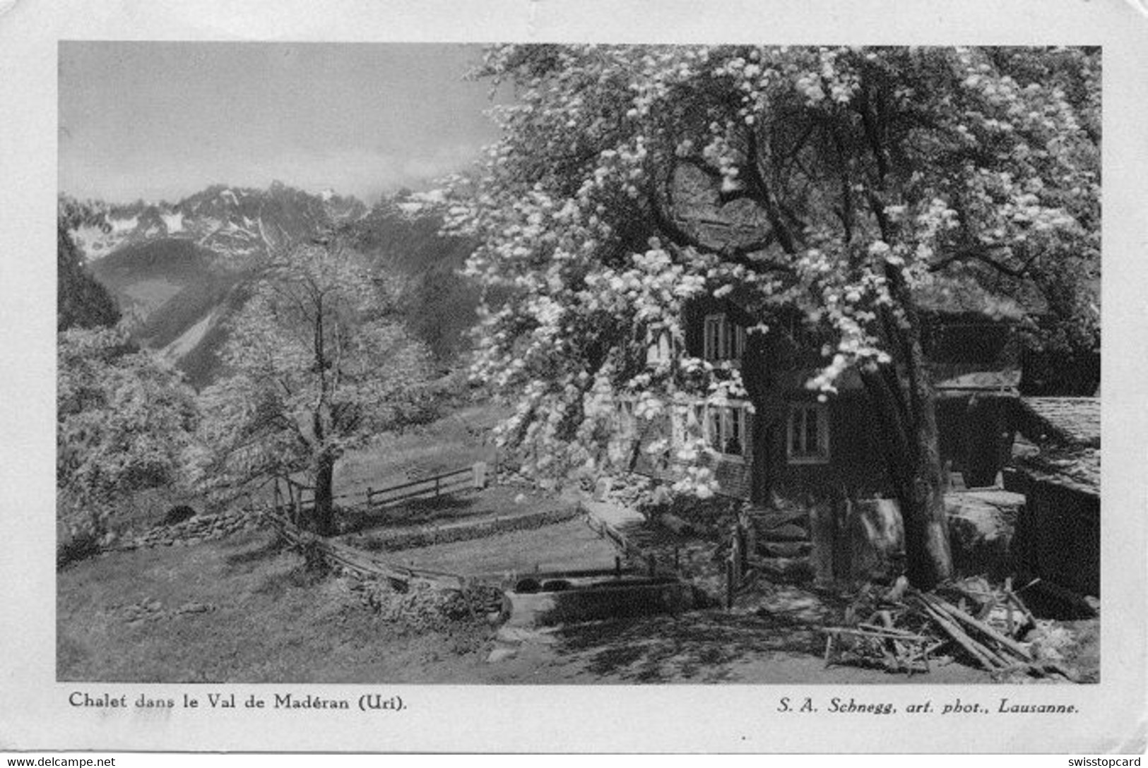 BÜRGLEN Chalet Im Maderanertal - Bürglen