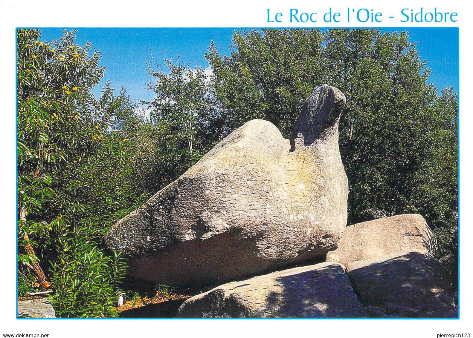 81 - Le Sidobre - Le Roc De L'Oie - Other & Unclassified