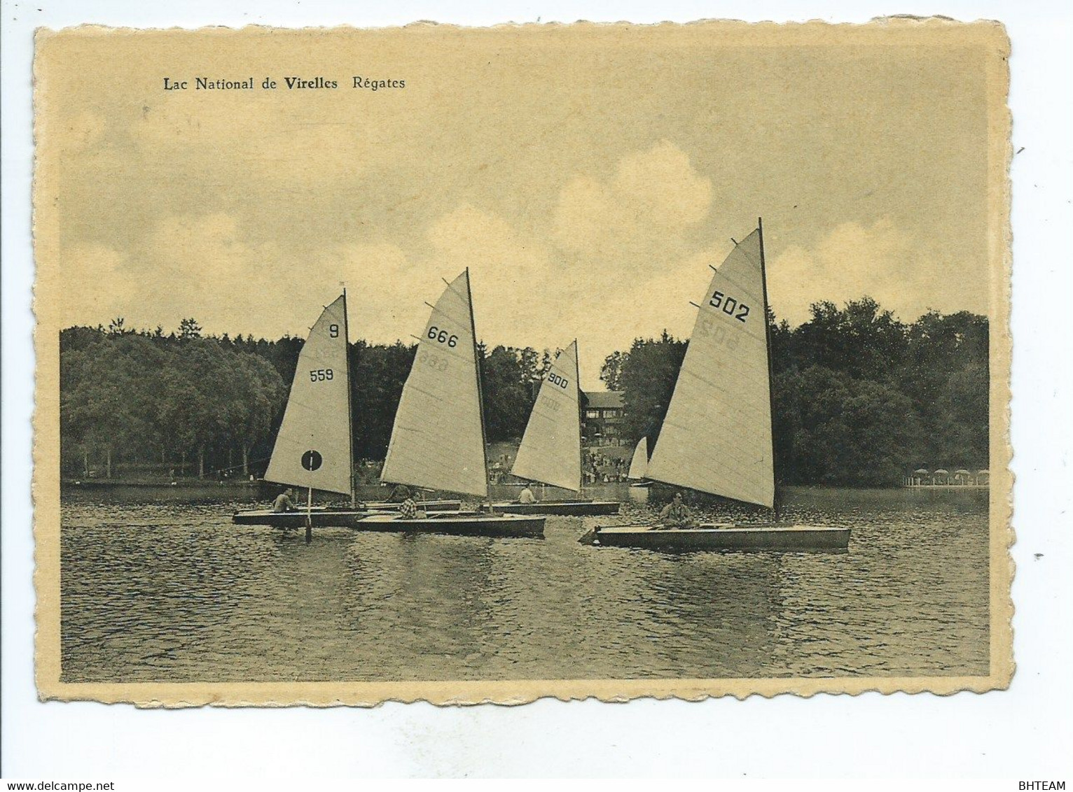 Lac National De Virelles Régates ( Voiliers ) - Chimay