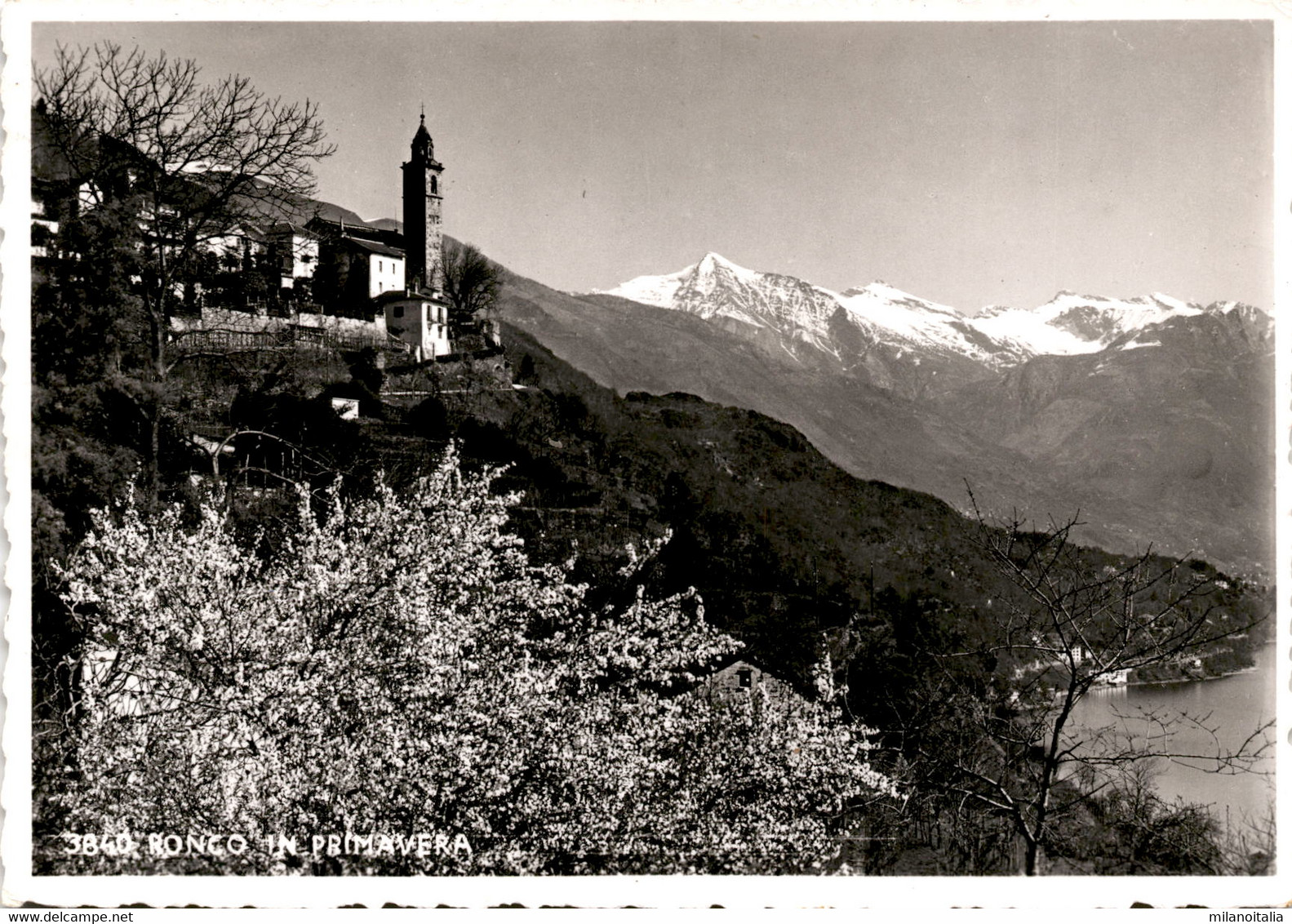 Ronco In Primavera (3640) * 10. 2. 1958 - Ronco Sopra Ascona