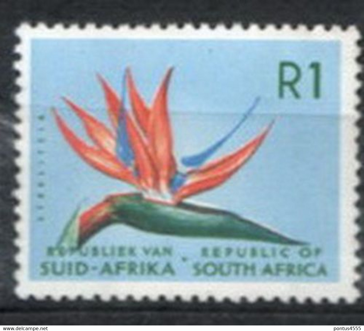 RSA 1965 Mi 337 Strelitzia (Wmk. 348) - MNH - Unused Stamps