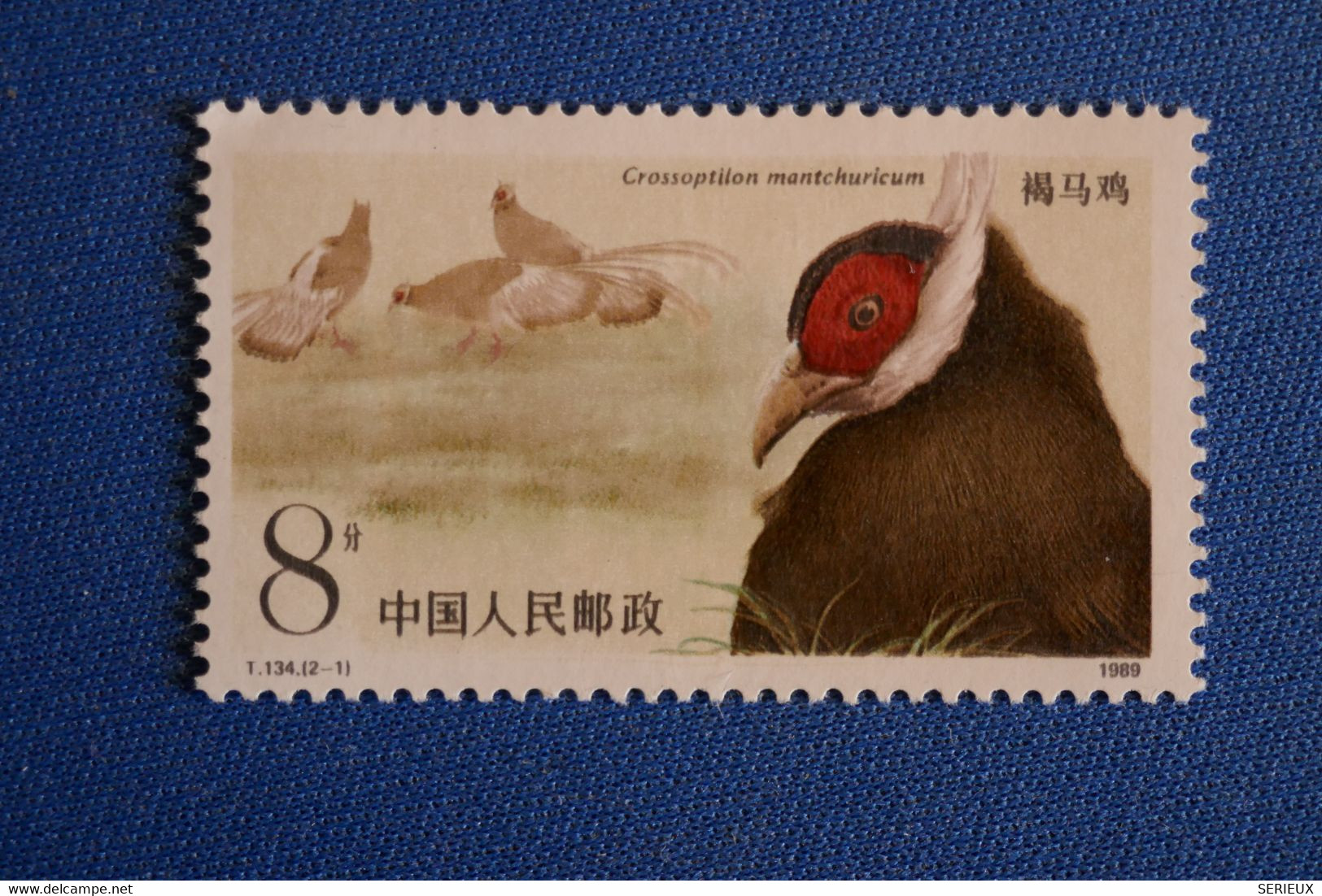 S12 CHINA TIMBRE  1989 CHINE ETAT PARFAIT RECTO VERSO LE TETRA LYRE - Unused Stamps
