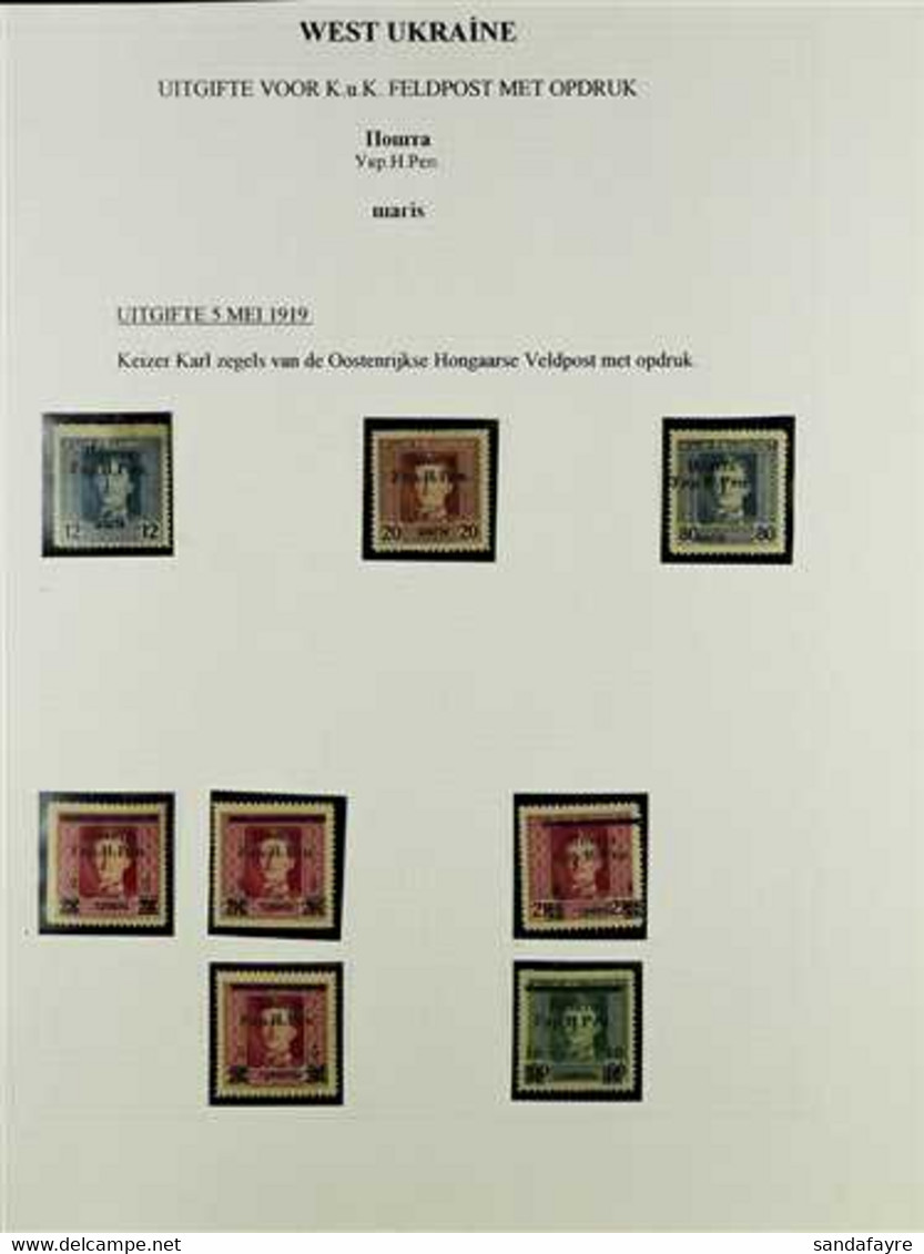 WEST UKRAINE STANISLAU LOCAL ISSUES 1919 Al Different Mint Group Of Overprints On Austro-Hungarian Military Post Stamps, - Ukraine