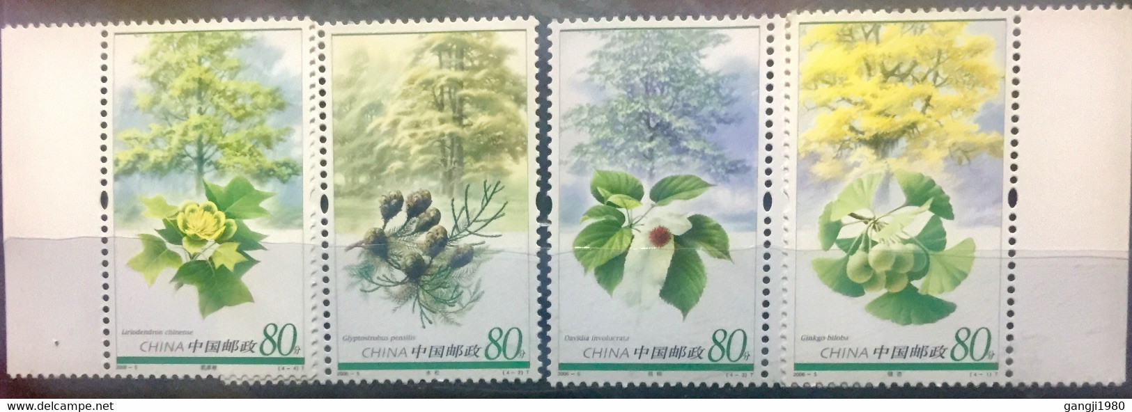 CHINA 2006 MNH STAMP ON PLANTS OF RELIC SPECIES TREE STAMP 4 DIFFERENT STAMPS - Andere & Zonder Classificatie