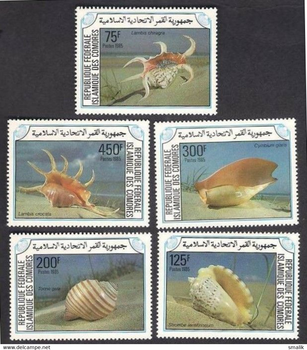 ISLAMIC Des COMORES COMORO ISLAND 1985 - Sea Shells, Complete Set Of 5v MNH - Comores (1975-...)
