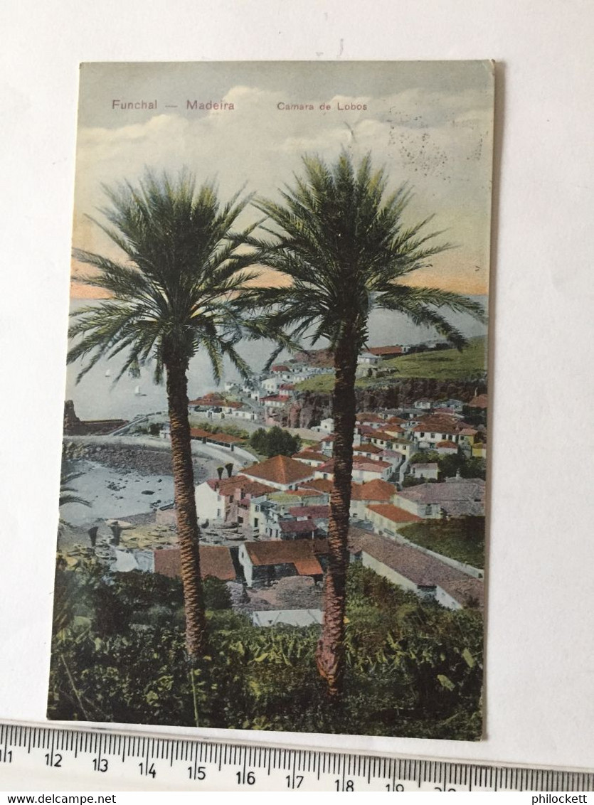 MADEIRSA FUNCHAL - CAMARA DOS LOBOS - MARITIME TO SOUTH AFRICA 1908 - Mundo