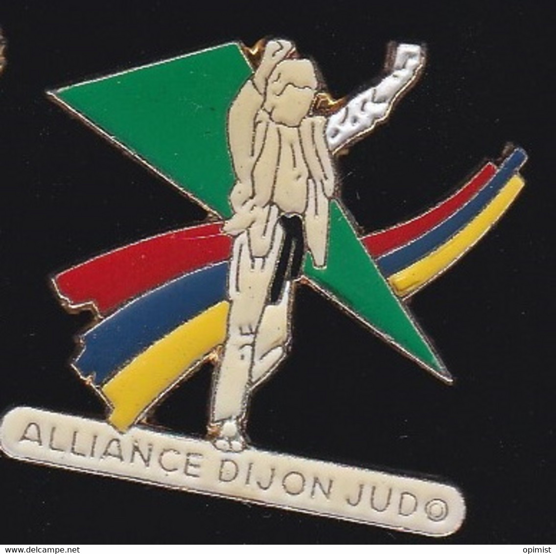 70832- Pin's. .Judo.. Dijon Métropole. Côte-d'Or - Judo