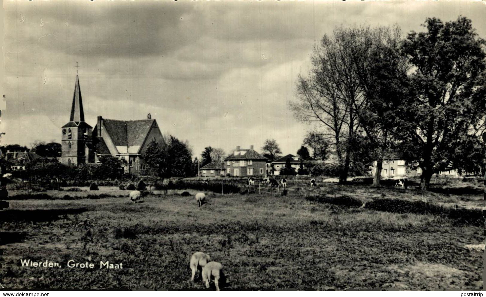 WIERDEN  GROTE MAAT   Overijssel Wierden  HOLLAND HOLANDA NETHERLANDS - Wierden