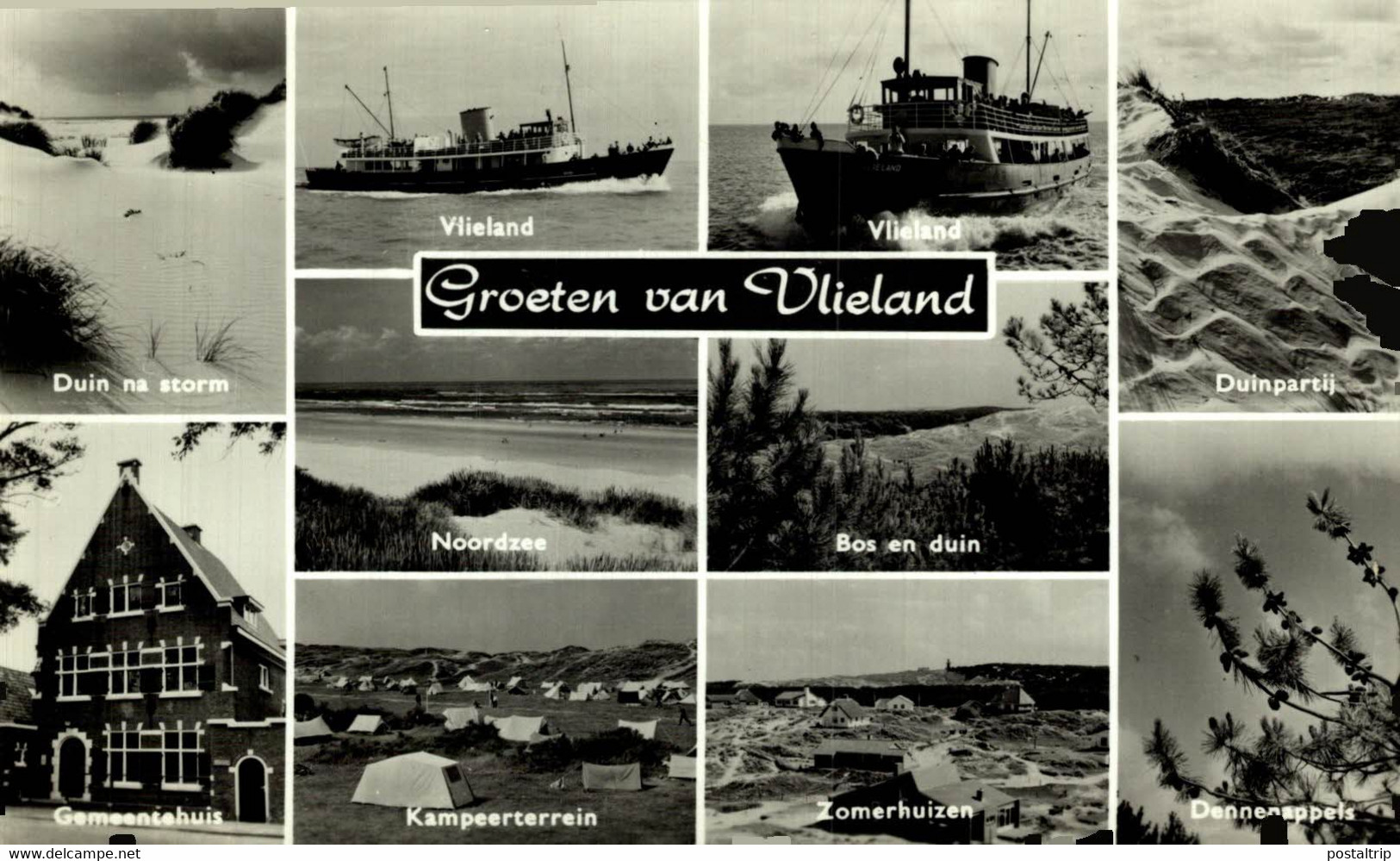 GROETEN UIT VLIELAND DUIN NA STORM VLIELAND DUINPARTIJ BOS EN DUIN NOORDZEE    Friesland  HOLLAND HOLANDA NETHERLANDS - Vlieland