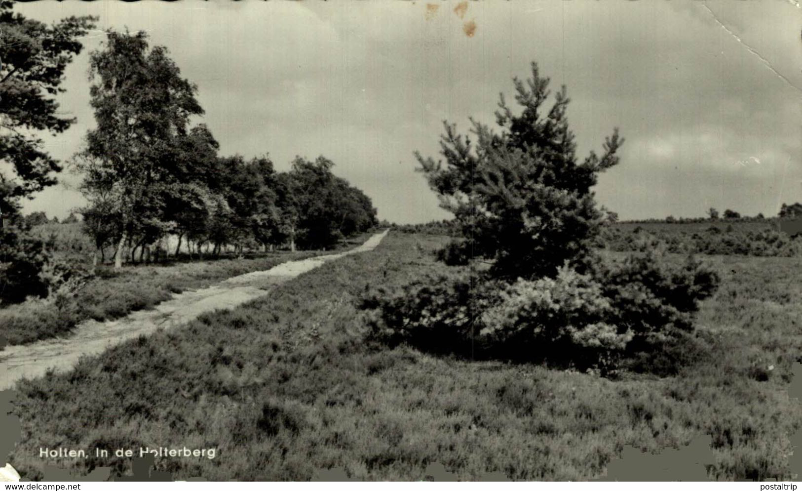 HOLTEN IN DE HOLTENBERG  Overijssel Holten HOLLAND HOLANDA NETHERLANDS - Holten