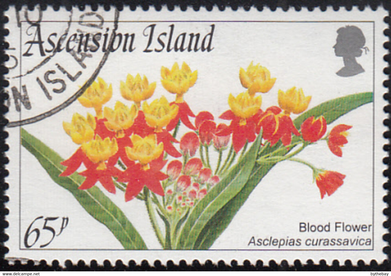 Ascension 1995 Used Sc #607 65p Blood Flower Flowers - Ascension (Ile De L')