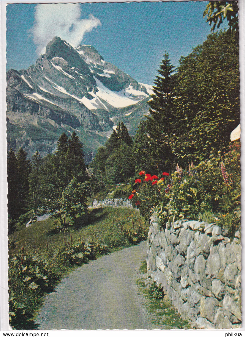 Braunwald - Blick Gegen Orstock - Braunwald