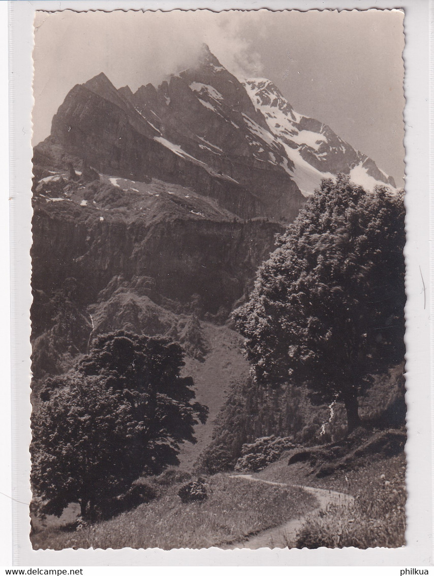 Ahorn Mit Ortstock - Braunwald - K-Stempel Braunwald - Braunwald