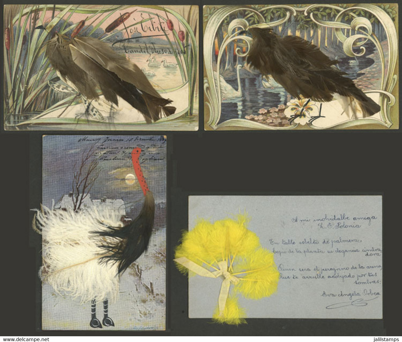 WORLDWIDE: FEATHERS: 4 Old Postcards Made With Real Feathers, Very Nice, Rare Group! - Mondo