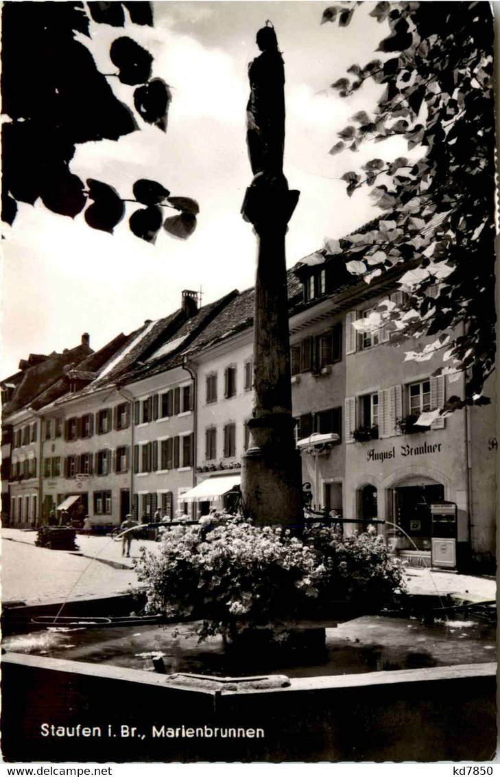 Ba-Wü/ Staufen I.Breisgau - Marienbrunnen - Staufen