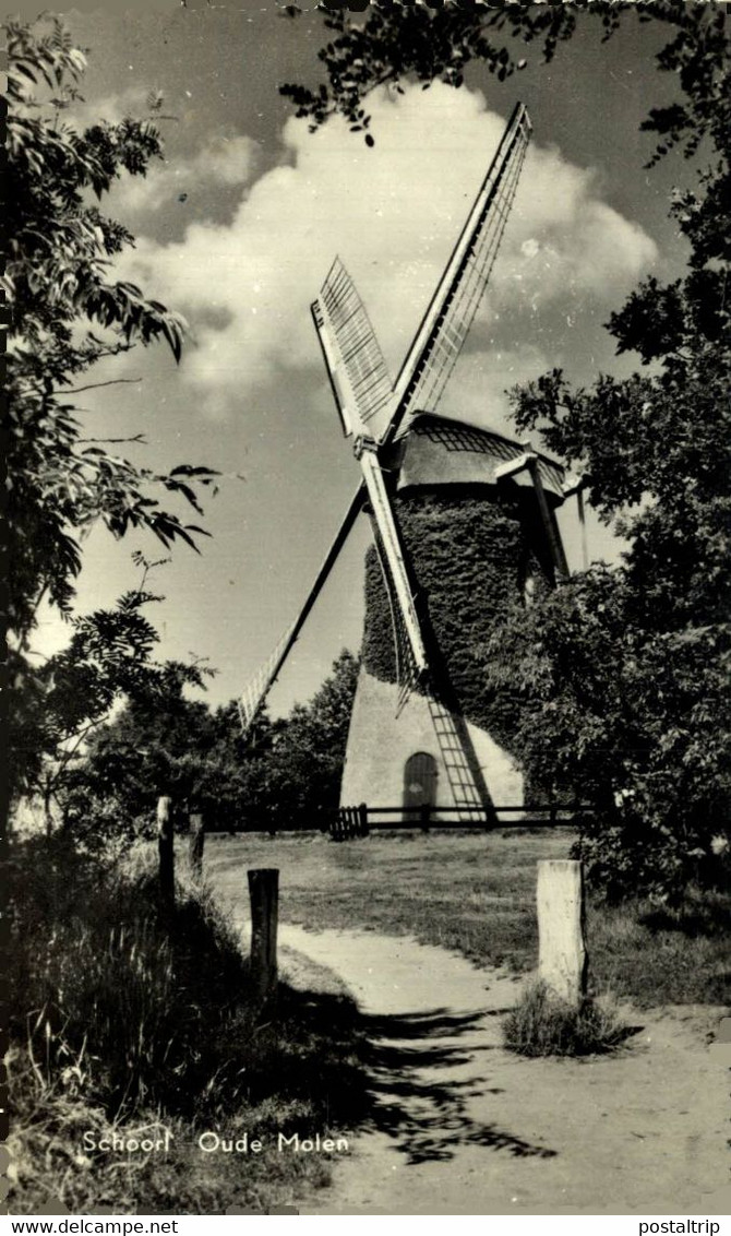 Schoorl Oude Molen   Noord Holland  HOLLAND HOLANDA NETHERLANDS - Schoorl