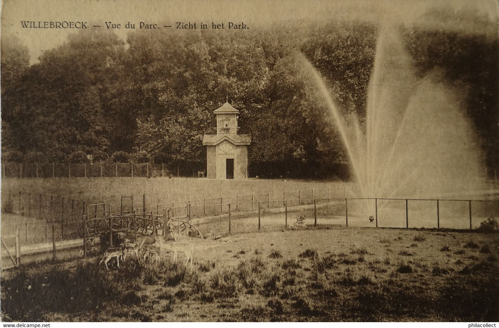 Willebroek - Willebroeck //  Vue Du Parc - Zicht In Het Park (Fontaine - Fontein) 19??ed.p.i.b. - Willebrök