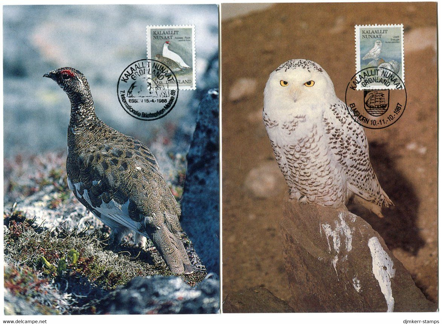 GREENLAND 1987 Birds I On Maximum Cards.  Michel 176-77 - Maximum Cards