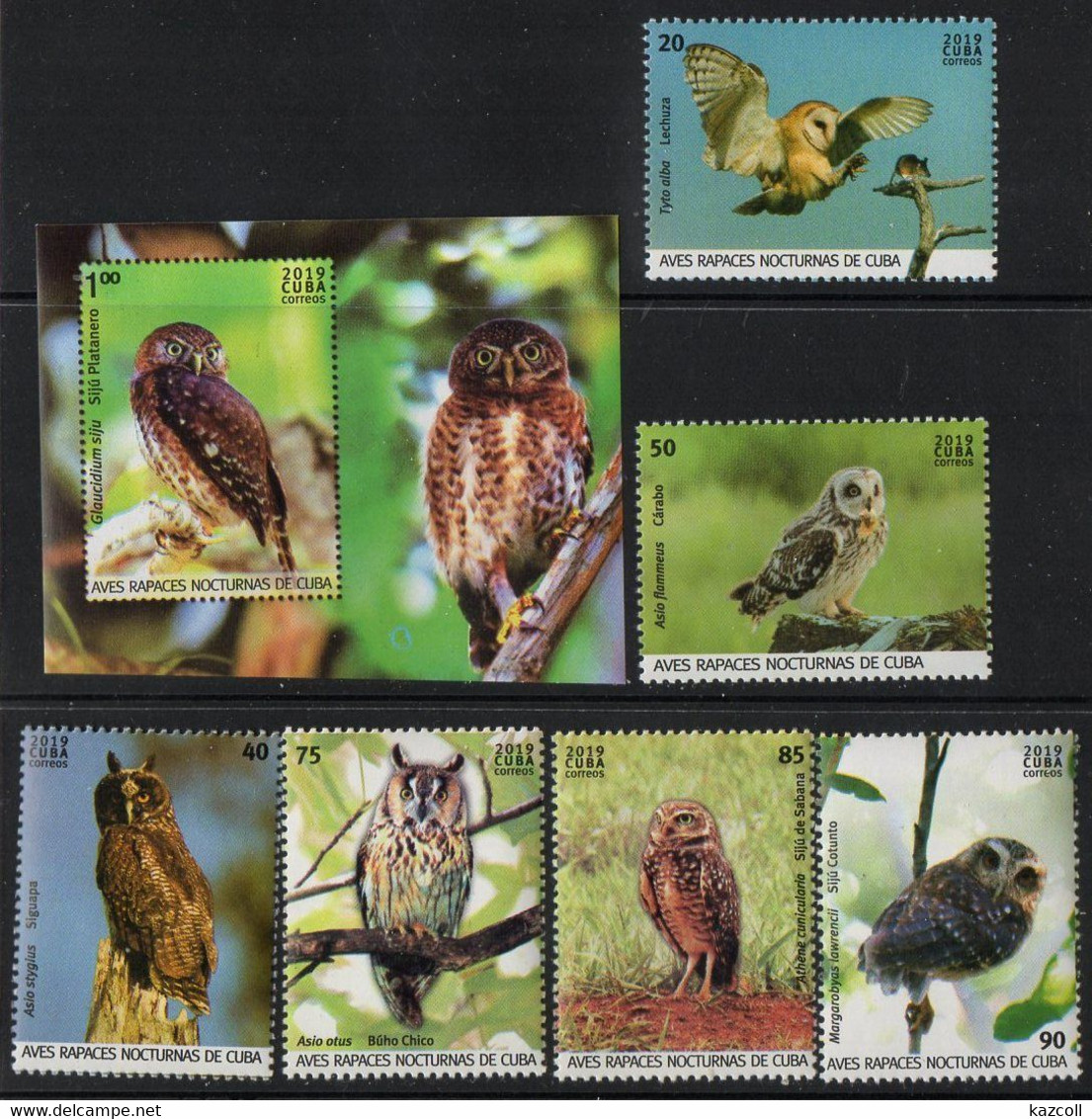 Cuba  2019. Fauna. Birds. Owls. Birds Of Prey.  MNH - Unused Stamps