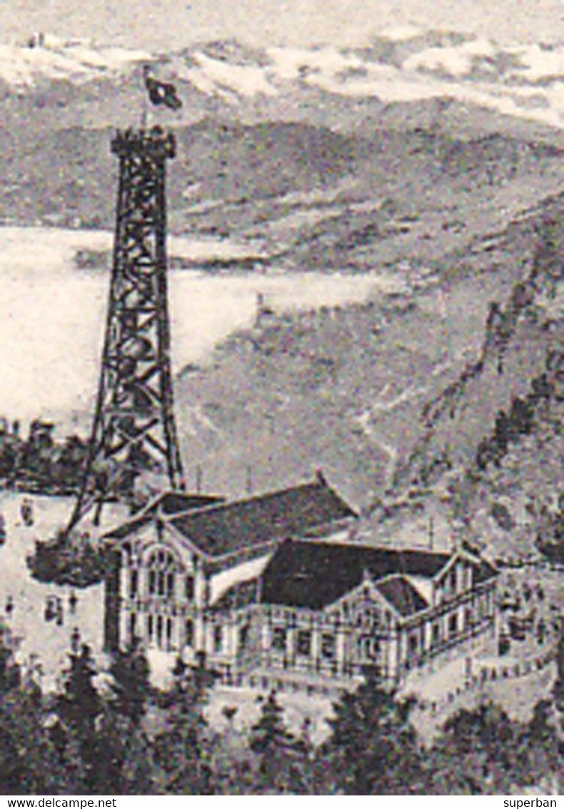 UETLIBERG / UTO KULM (873 M) Mit BLICK AUF ZÜRICHSEE Und GLARNERALPEN - EDITION PHOTOGLOB Co. ZÜRICH ~ 1905 (ah16s) - Zürich