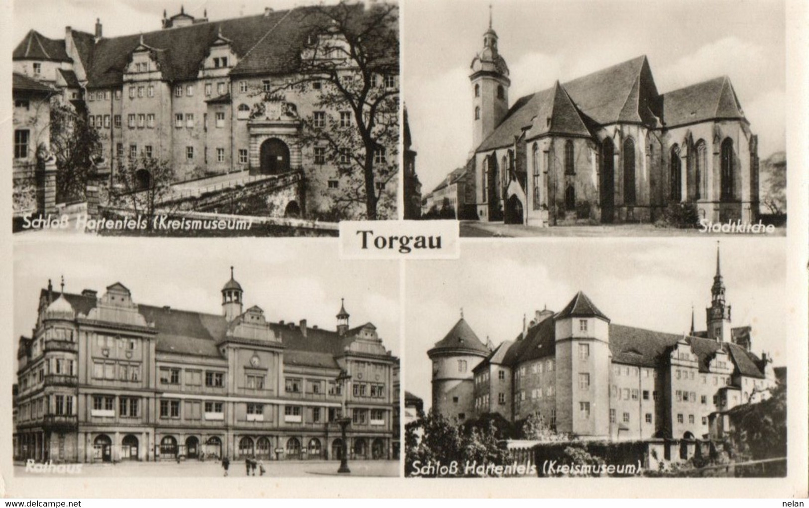 TORGAU - REAL PHOTO - Torgau