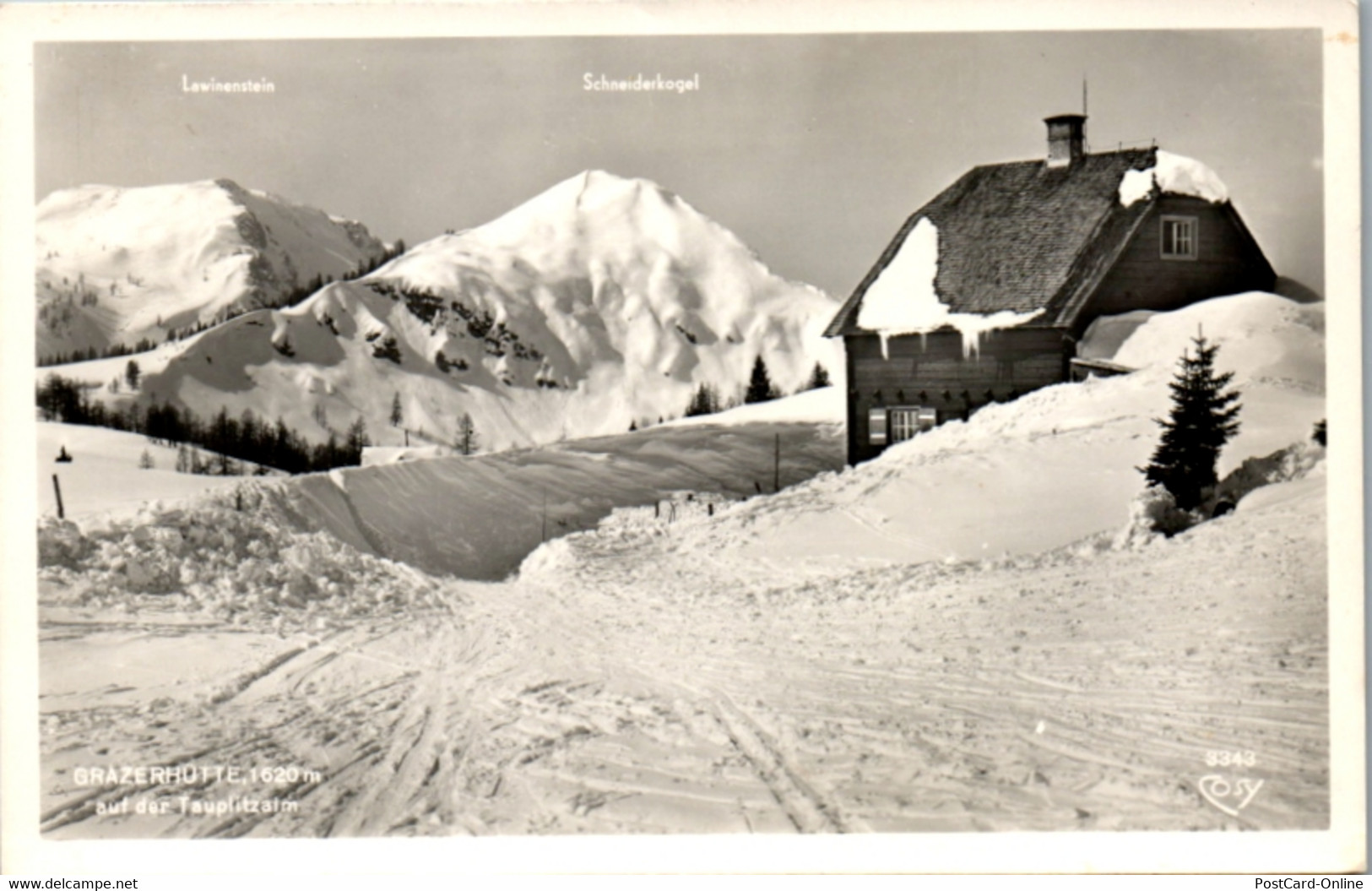 10464 - Steiermark - Tauplitzalm , Tauplitz , Grazerhütte , Lawinenstein , Schneiderkogel , Winter - Gelaufen - Tauplitz