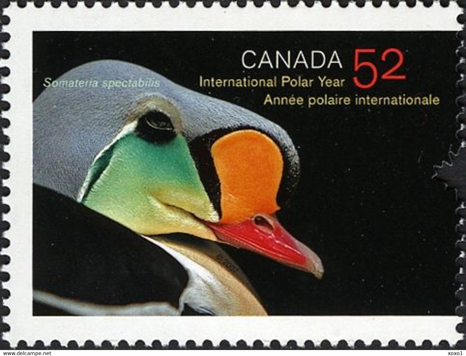 Canada 2007 MiNr. 2392 Kanada Arctic Wildlife BIRDS  The King Eider POLAR YEAR 1v  MNH** 1.10 € - Arctic Wildlife