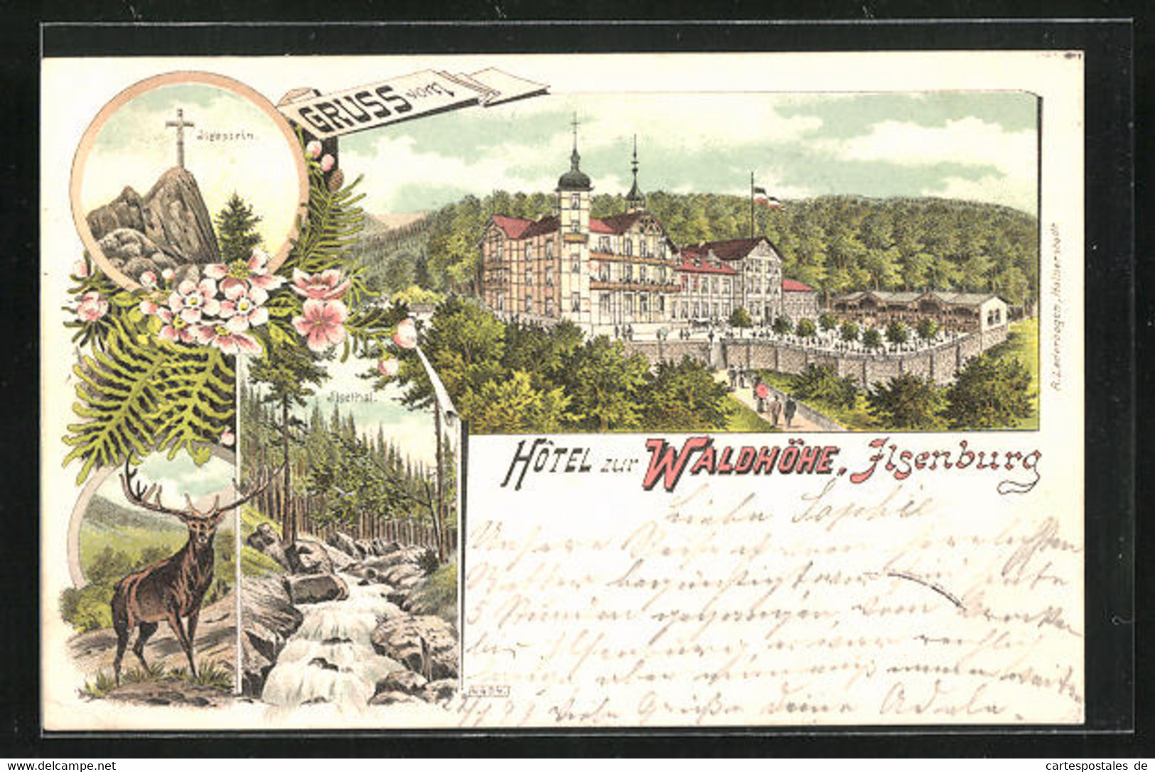Lithographie Ilsenburg, Hotel Zur Waldhöhe, Ilsenstein, Ilsenthal - Ilsenburg