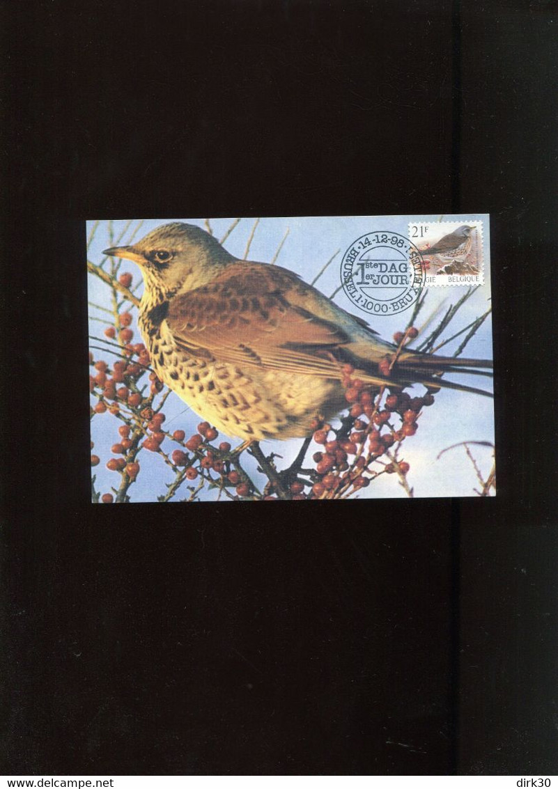 Belgie 2792 Maximumkaart Buzin Birds Brussel - 1991-2000