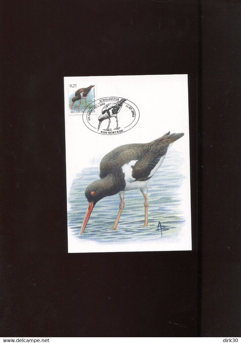 Belgie 3087 Maximumkaart Buzin Birds Kortrijk - 2001-2010