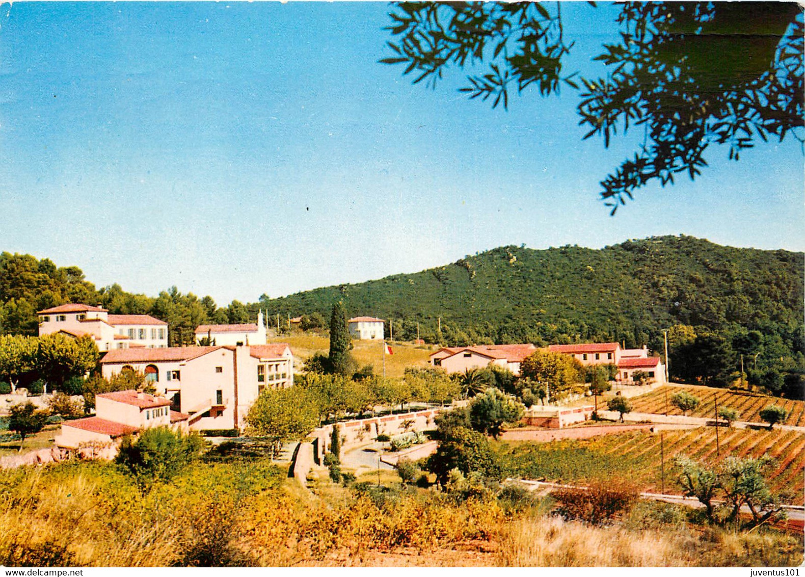 CPSM La Valette Du Var-Le Coudon-Domaine Des Gueules Cassées    L594 - La Valette Du Var