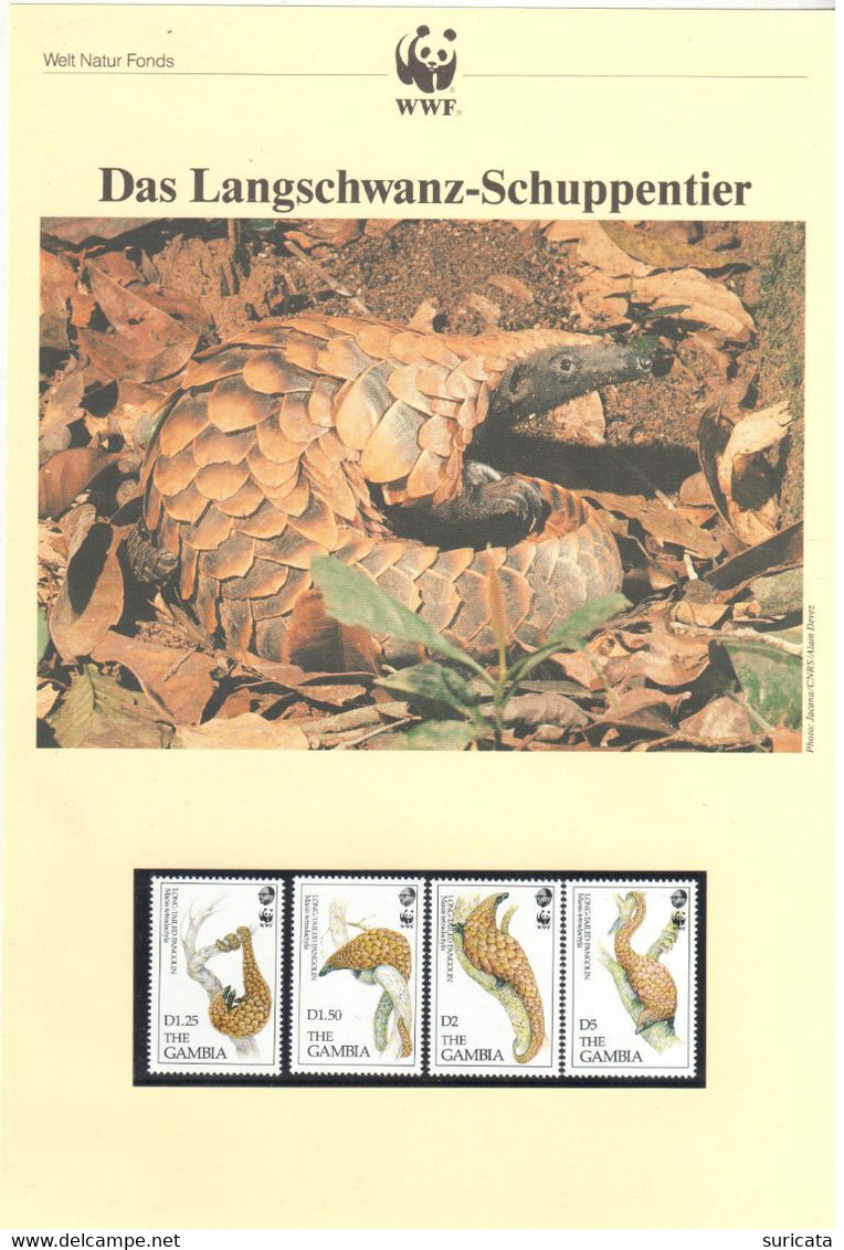 Gambia 1993 - WWF Das Langschwanz-Schuppentier - Komplettes Kapitel Postfrisch MK FDC - Altri & Non Classificati